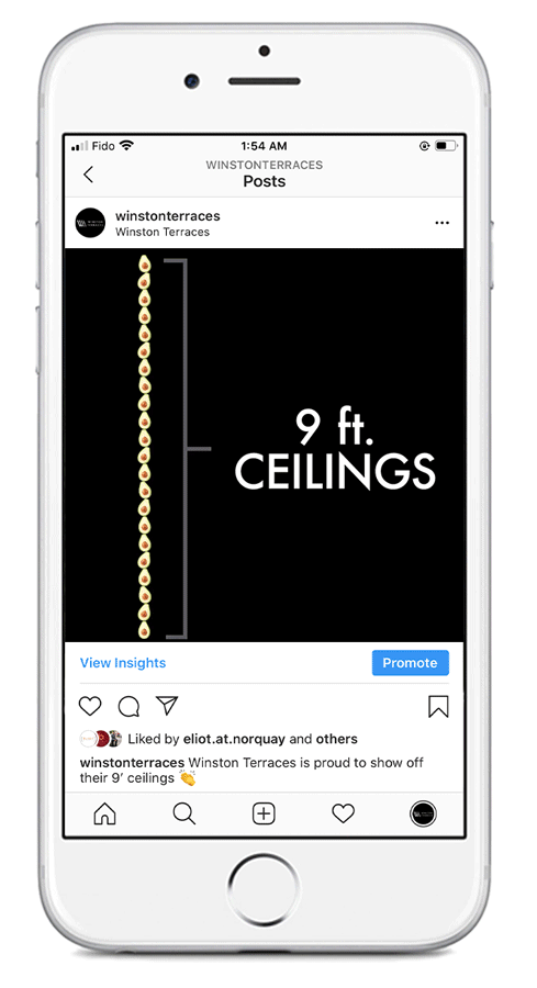 Winston Terraces | 9ft Ceilings – Measured by avocados (animation) – Instagram Post